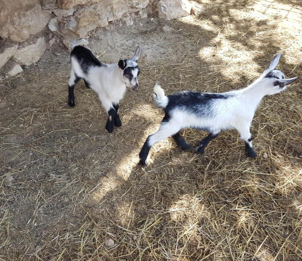 Appartamenti Camere Masi Brenta Rovereto  Kültér fotó