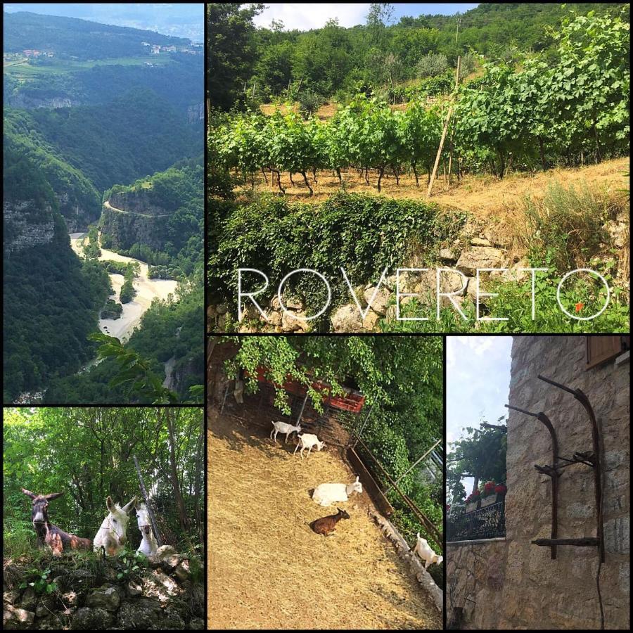 Appartamenti Camere Masi Brenta Rovereto  Kültér fotó